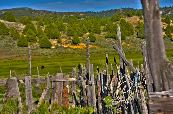 牧場の風景の上に木製の牛ペン — ストック写真