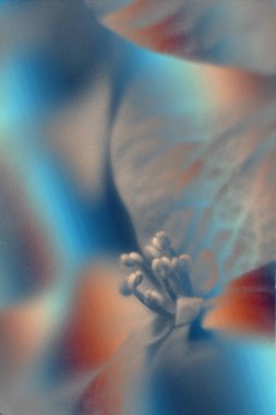 Mavi ve beyaz bulutlardan oluşan güzel bir deseni olan soyut bir arkaplan