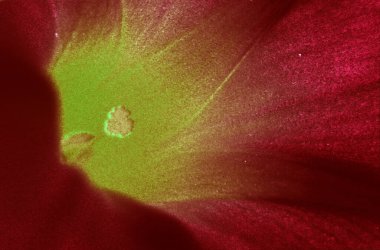 güzel arka plan doku