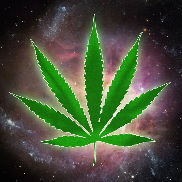 Marijuana Plant Cannabis Leaf Green Weed — Stock Photo, Image