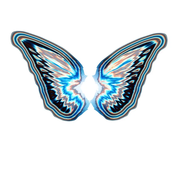 Butterfly Wings Isolated White Background Art — 图库照片