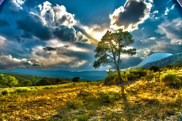 Drzewo Wiejskim Krajobrazie Piękna Scena Natury — Zdjęcie stockowe