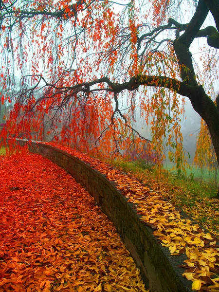 Herbstpark Steinzaun Und Umgefallenes Laub — Stockfoto