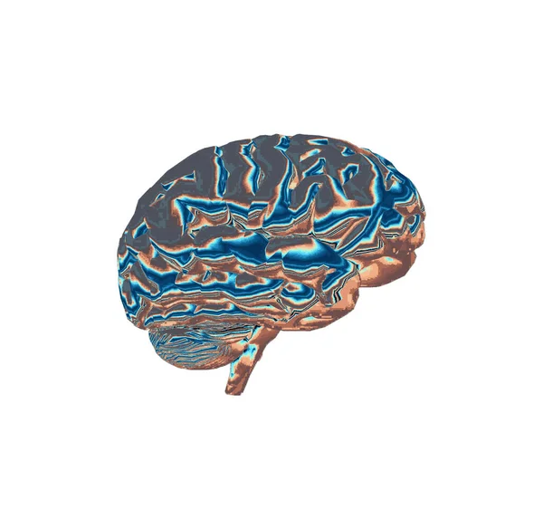 Illustration Human Brain Computer Graphic — Stock Photo, Image