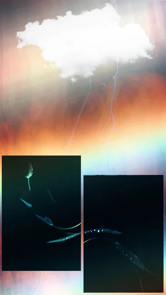 Abstraktní Pozadí Mraky Obloze Hromobitím — Stock fotografie