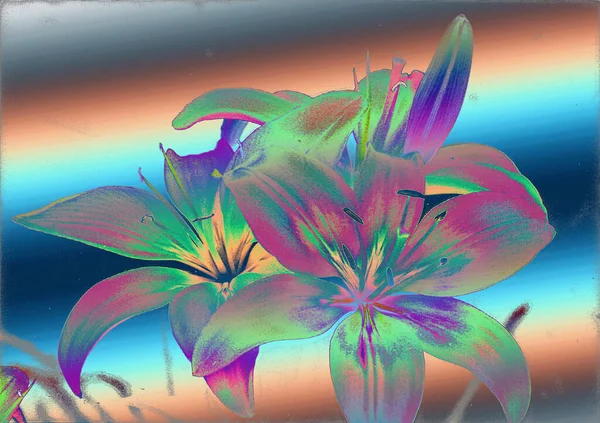 Красивые Цветы Лилии Цветочный Фон Акварель Иллюстрация — стоковое фото