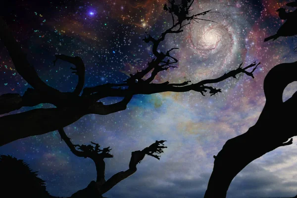 Night Silhouette Tree Space Background — 图库照片