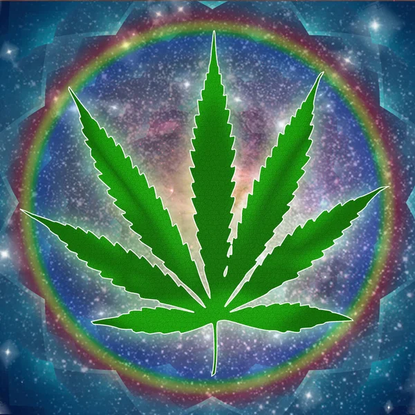 Planta Marihuana Con Hoja Cannabis Hierba Verde —  Fotos de Stock