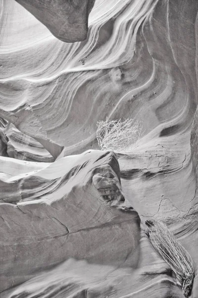 羚羊峡谷黑白相间的景观图像 美丽的自然 — 图库照片