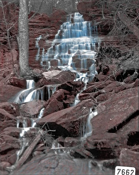 Wasserfall Wald Natur — Stockfoto