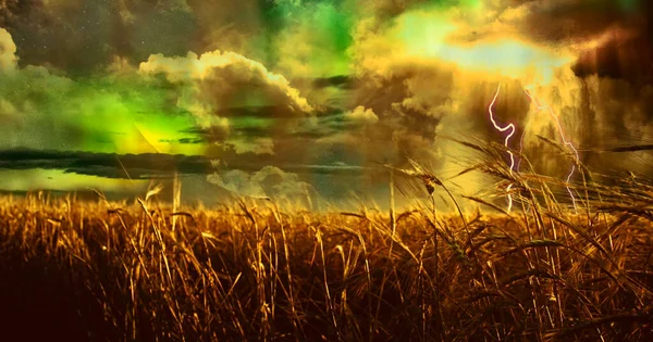 Storm Rages Agricultural Field — Stock Photo, Image