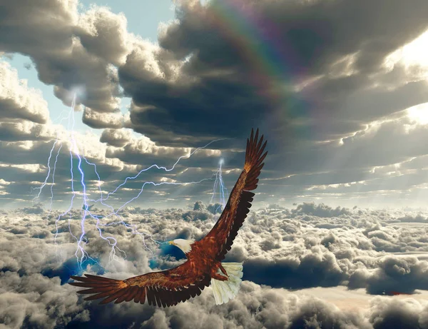 Imaginaire Avec Aigle Volant Dans Ciel — Photo