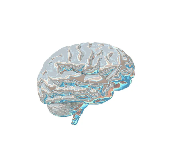 Illustration Human Brain Computer Graphic — Stock Photo, Image