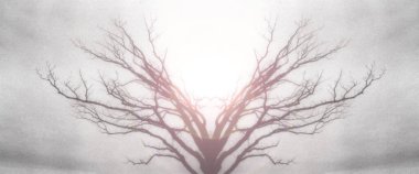 ağaç kökleri soyut arkaplan