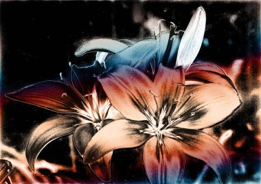 güzel zambak çiçekleri, çiçekli arka plan suluboya çizimi 