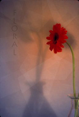 bir vazoda kırmızı çiçek.