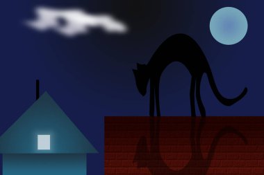 Bir evin çatısındaki kedi.