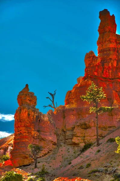 Büyük Kanyon Güzel Doğa Sahnesi — Stok fotoğraf