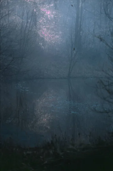 森林湖泊的抽象自然背景 — 图库照片