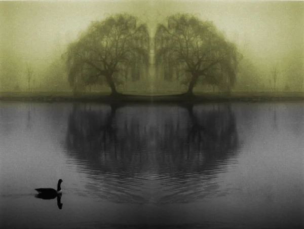 나무들 반사되어 대칭을 이루는 호수의 실루엣 — 스톡 사진