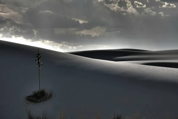 Σαπούνι Στη Λευκή Έρημο Όμορφη Φύση — Φωτογραφία Αρχείου