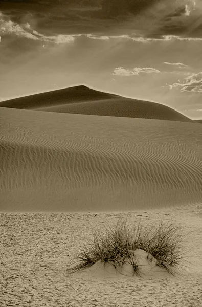 背景上美丽的沙漠景观 — 图库照片