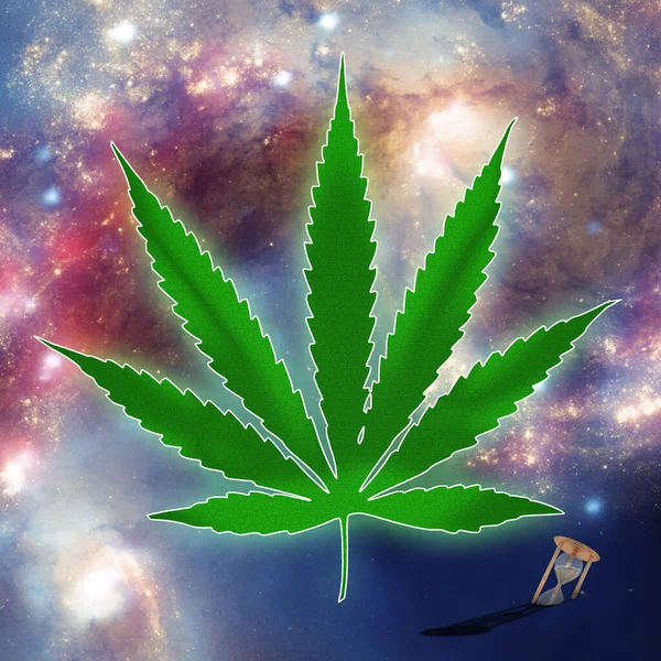 Marijuana Plant Cannabis Leaf Green Weed — Foto de Stock