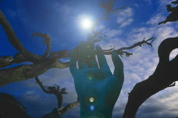 Night Silhouette Tree Hand Space Background — Zdjęcie stockowe