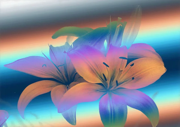 Belles Fleurs Lys Fond Floral Aquarelle Illustration — Photo
