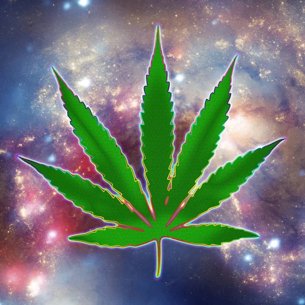 Cannabis Leaf Marijuana Leaves White Background — Stock Photo, Image