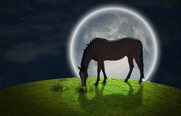 Illustration Horse Grazing Moon — Stock Photo, Image