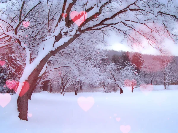 Śnieg Drzewa Wietrznym Krajobrazie Światła Kształcie Serca — Zdjęcie stockowe