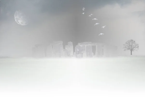 Hermoso Paisaje Con Árboles Niebla — Foto de Stock