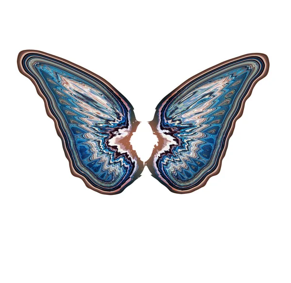 Крила Метелика Ізольовані Білому Тлі Мистецтво — стокове фото