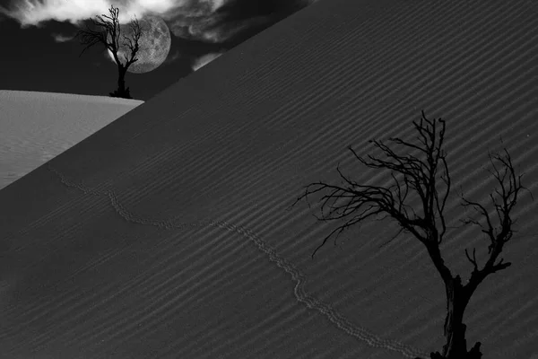 Sand Dunes Namib Desert Illustration — Stock Photo, Image