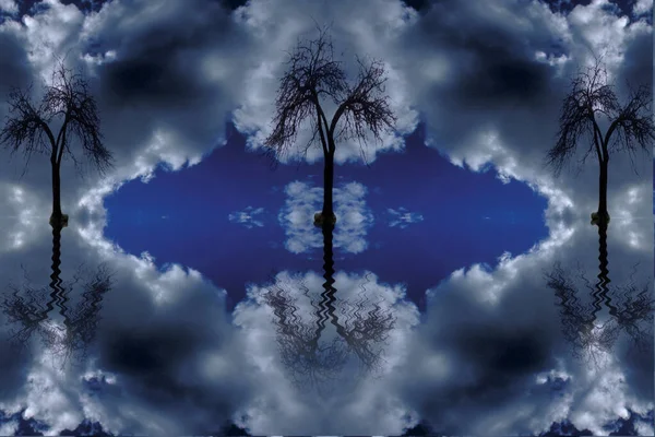 Reflexão Perfeita Árvores Superfície Água — Fotografia de Stock
