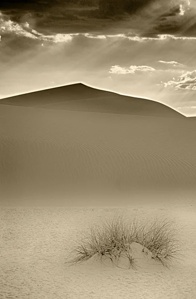 Beautiful Landscape Dunes Sand — Stockfoto