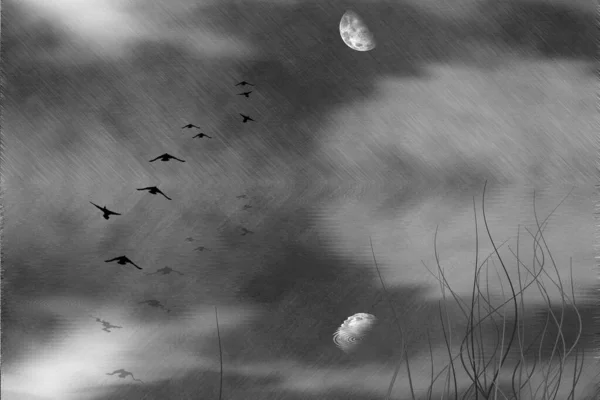 Krásný Výhled Oblohu Ptáky — Stock fotografie