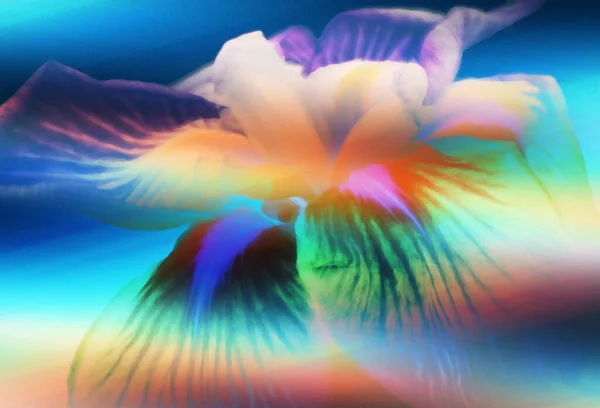 Piękne Abstrakcyjne Tło Kolorowymi Kwiatami — Zdjęcie stockowe