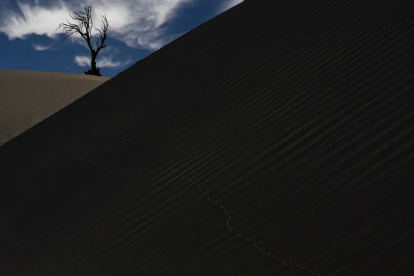 View Beautiful Desert Cloudy Sky —  Fotos de Stock