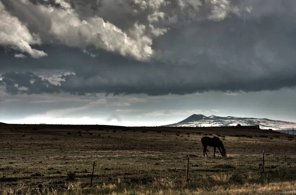 田園風景の中に草の上に馬草 — ストック写真