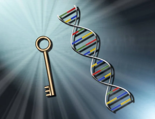 Dna Sträng Och Nyckel Konvertering — Stockfoto