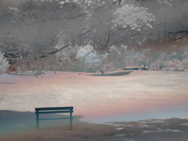 Parkta ağaç ve bank olan güzel bir manzara.