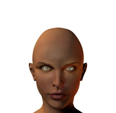 3 boyutlu insan yüzü, mandala küçültülmüş boyutu