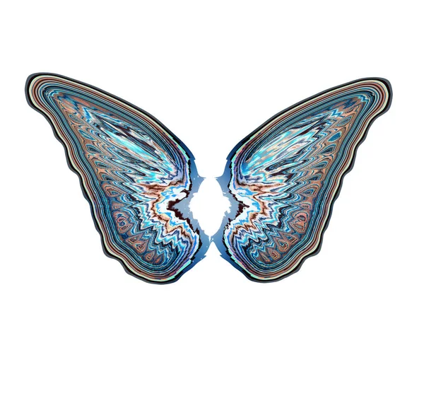 Butterfly Wings Isolated White Background Art — 스톡 사진