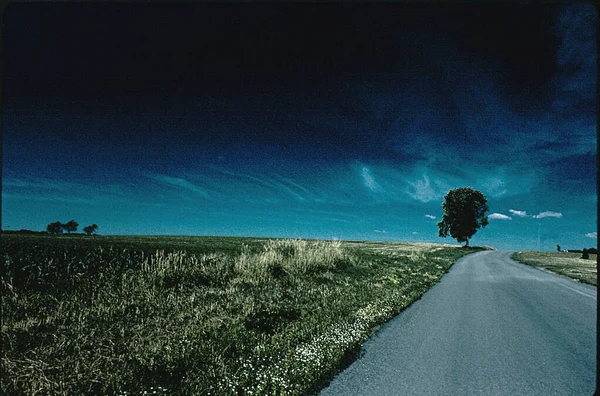 Schöne Landschaft Mit Feld Und Baum Auf Der Straße — Stockfoto