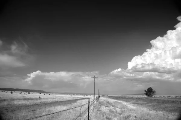 Ländliche Landschaft Schwarz Weiß Feld Gras Strommast — Stockfoto