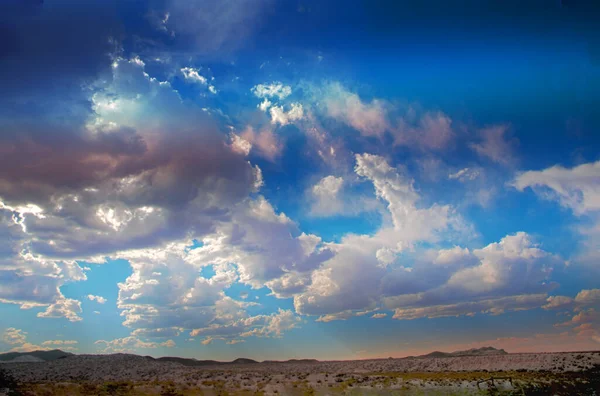 木々と青空が広がる美しい風景 — ストック写真