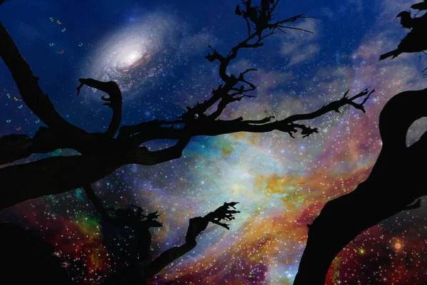 Nacht Silhouette Von Baum Auf Weltraum Hintergrund — Stockfoto