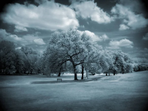 Drzewa Pięknym Krajobrazie — Zdjęcie stockowe